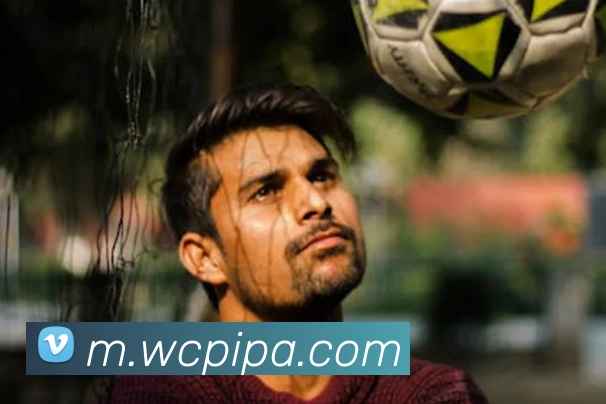 pa真人视讯发展历程